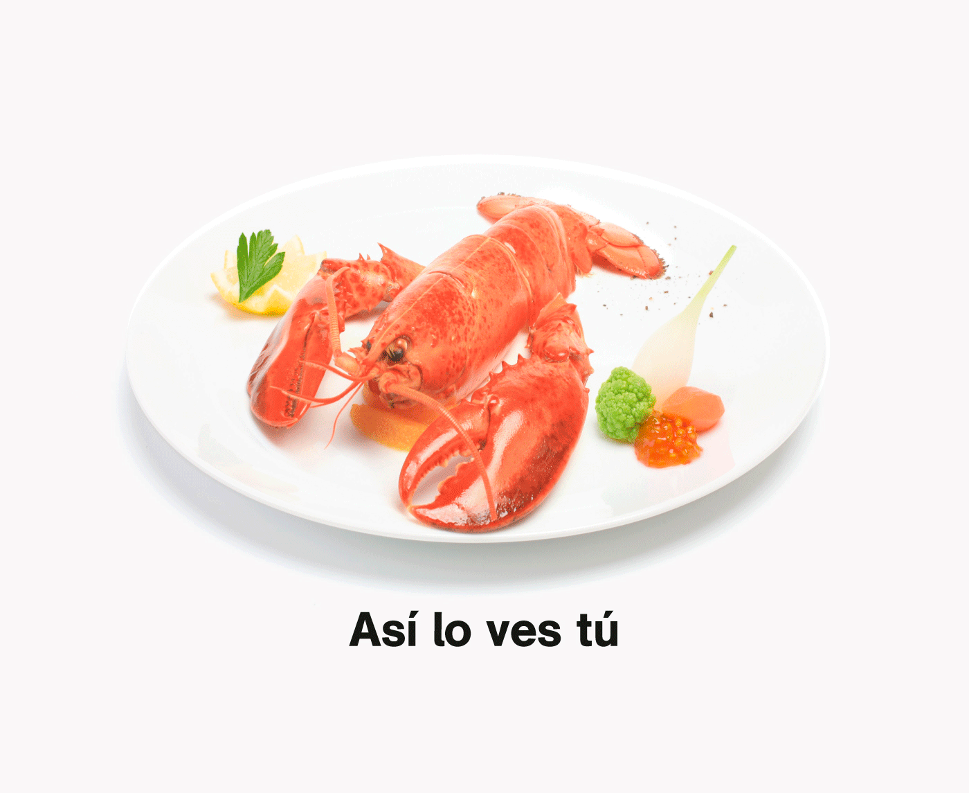 Alcat Test campaign with a lobster and scorpion